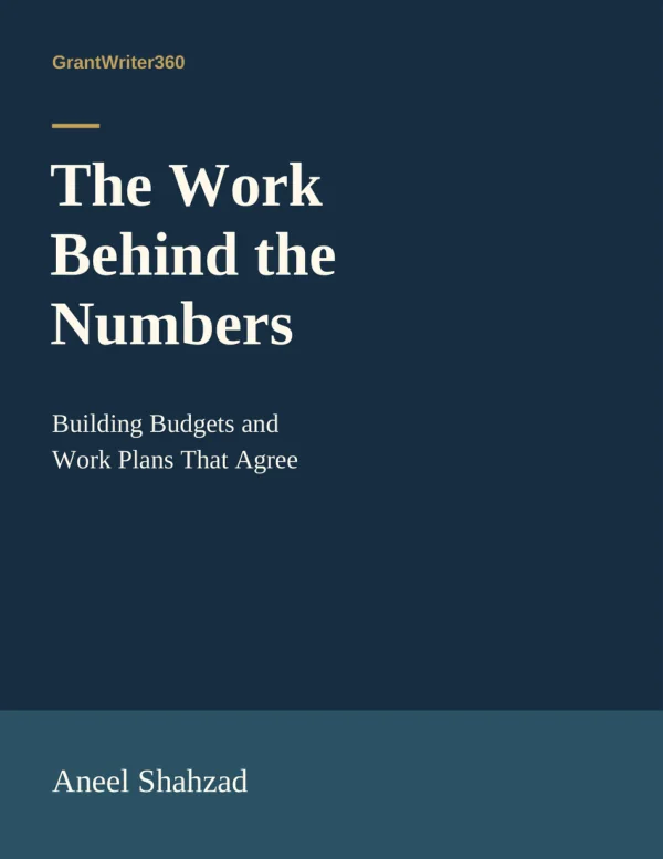 Cover of The Work Behind the Numbers by Aneel Shahzad
